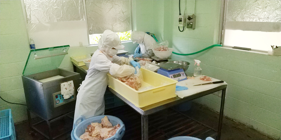 有限会社たつなりフーズ【食品の配送スタッフ(3tトラック)(宜野湾市)【完全週休2日制／手当充実】】の求人募集画像