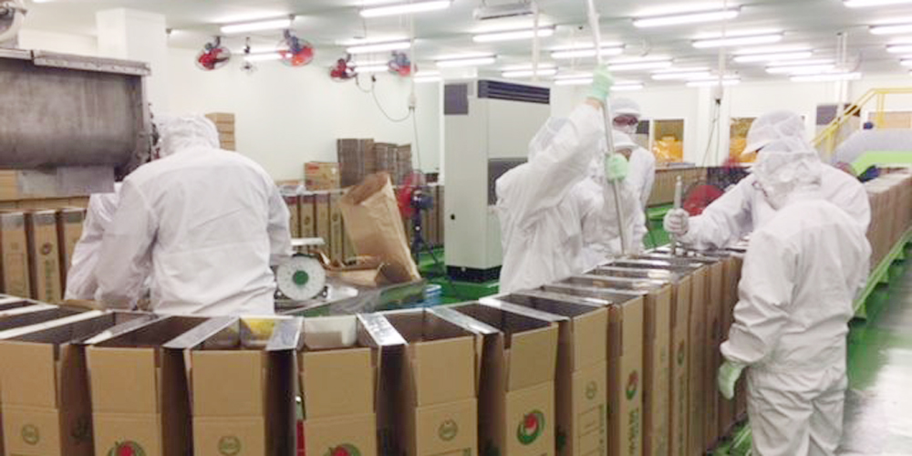 YUIME 株式会社 沖縄支社【短期製糖工場の作業スタッフ（南大東島）【全国から応募OK／個室寮完備／食事3食付き】】の求人募集画像