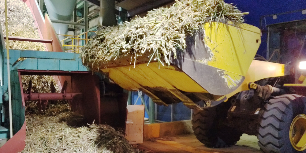 YUIME 株式会社 沖縄支社【短期製糖工場の作業スタッフ（波照間島）【個室寮（新築・Wi‐Fi完備・3食付き）】】の求人募集画像