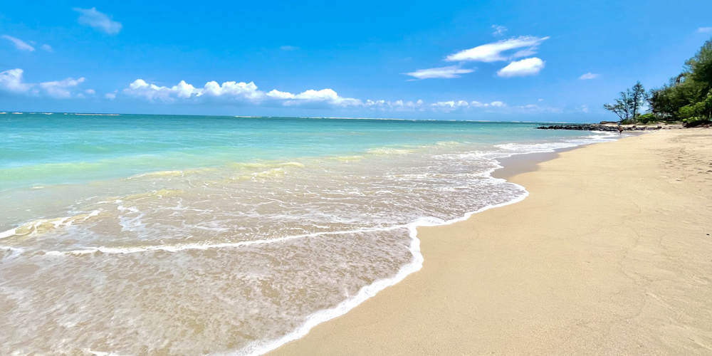 YUIME 株式会社 沖縄支社【短期製糖工場の作業スタッフ（波照間島）【個室寮（新築・Wi‐Fi完備・3食付き）】】の求人募集画像