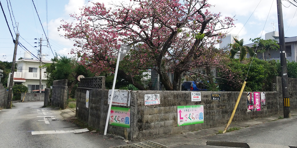 有料老人ホームさくらの園・デイサービスセンターさくら【介護士（那覇市繁多川）【無資格・未経験OK／4～6h相談OK／無料駐車場有】】の求人募集画像