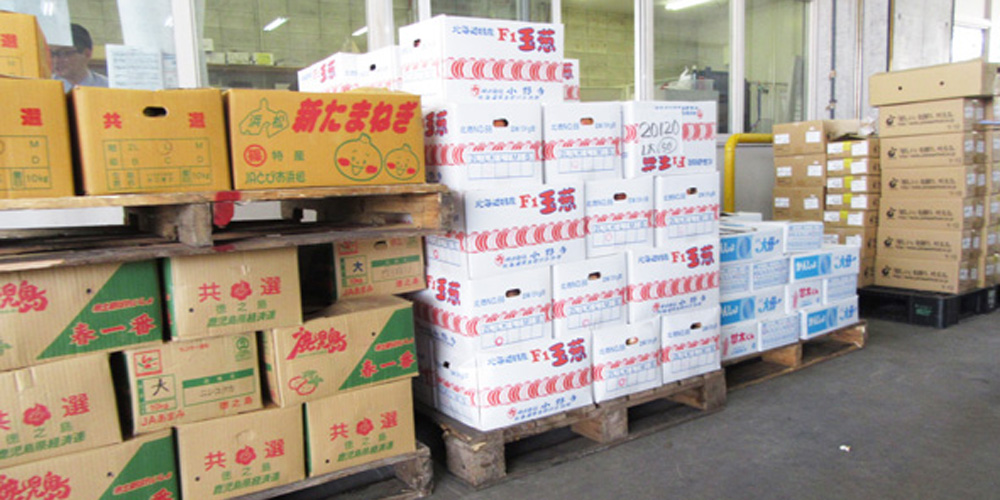 有限会社 西銘青果店【青果のパック・袋詰め作業（浦添市）【3h～勤務相談可／週休2日】】の求人募集画像