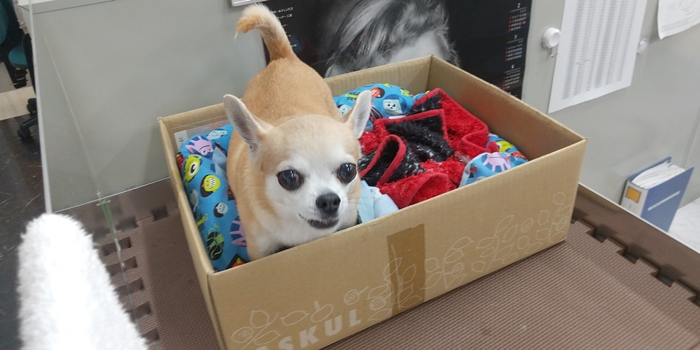 株式会社 旭メタル工業【工事管理・施工管理（南風原町）【土日祝休み／未経験可／賞与年2回（3ヶ月程度）】】の求人募集画像