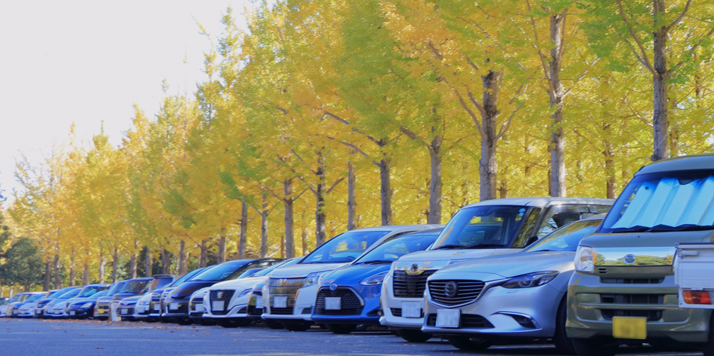 コックス琉球株式会社【自動車の陸送ドライバー(陸送業務)（浦添市）【社保完備／交通費有】】の求人募集画像