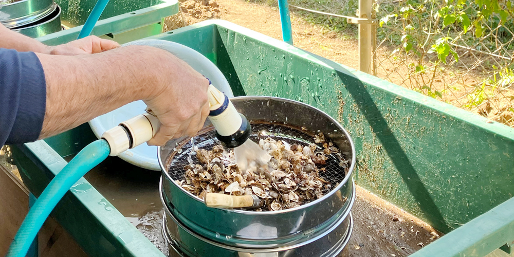 株式会社 埋蔵文化財サポートシステム 沖縄支店【出土遺物の整理作業員(短期)（金武町）【通勤手当（距離に応じて）支給／未経験者OK／年齢不問】】の求人募集画像