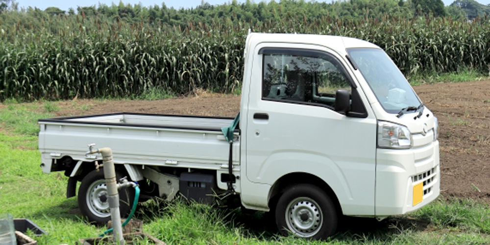 西表糖業株式会社【農務担当(サトウキビ栽培状況の確認)(西表島)【U・Iターン歓迎/正社員登用前提/年間休日120日以上】】の求人募集画像